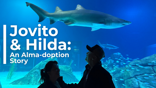 Jovito & Hilda: An Alma-doption Story