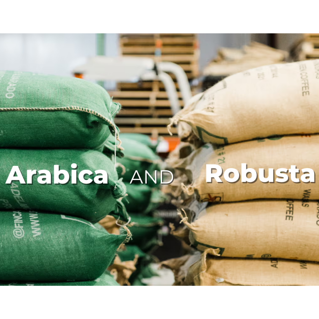 Arabica and Robusta