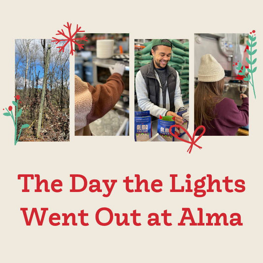 The Day the Lights Went Out at Alma