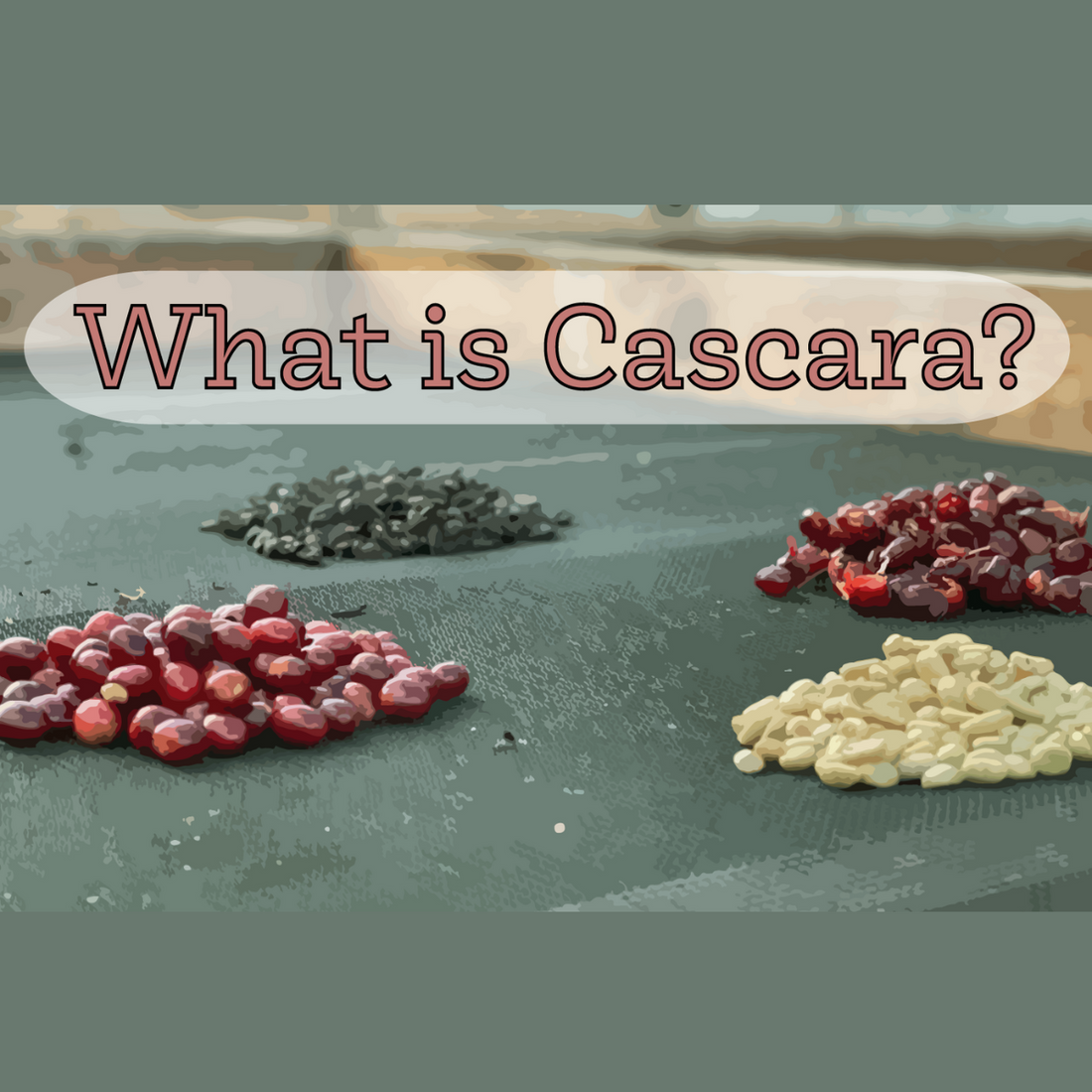 What is Cascara?