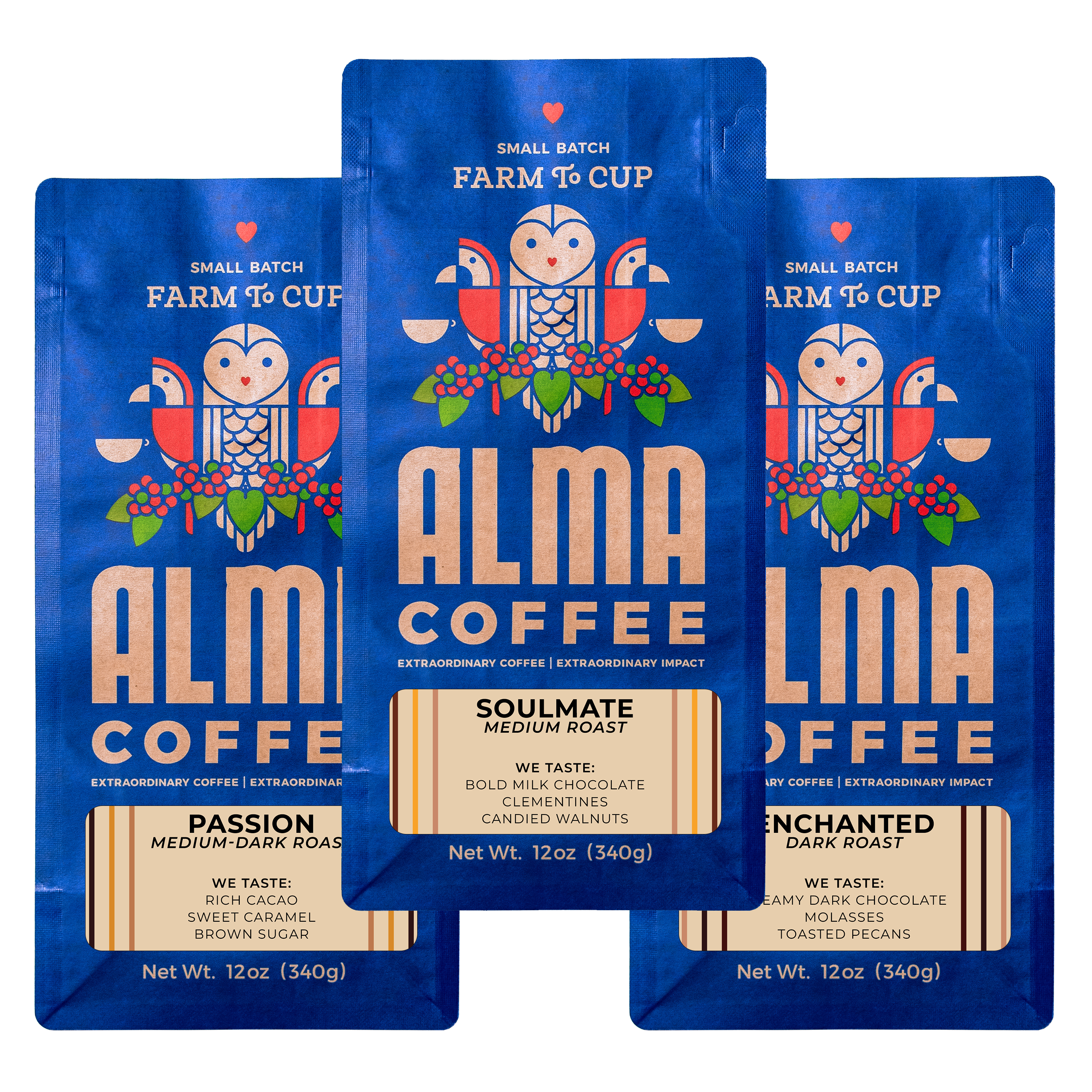 Everyday Cold Cup – Alma Coffee