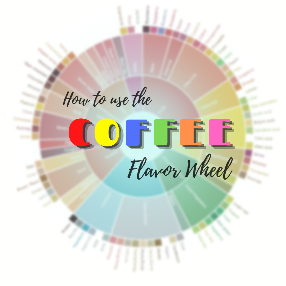 How to Use The Coffee Flavor Wheel