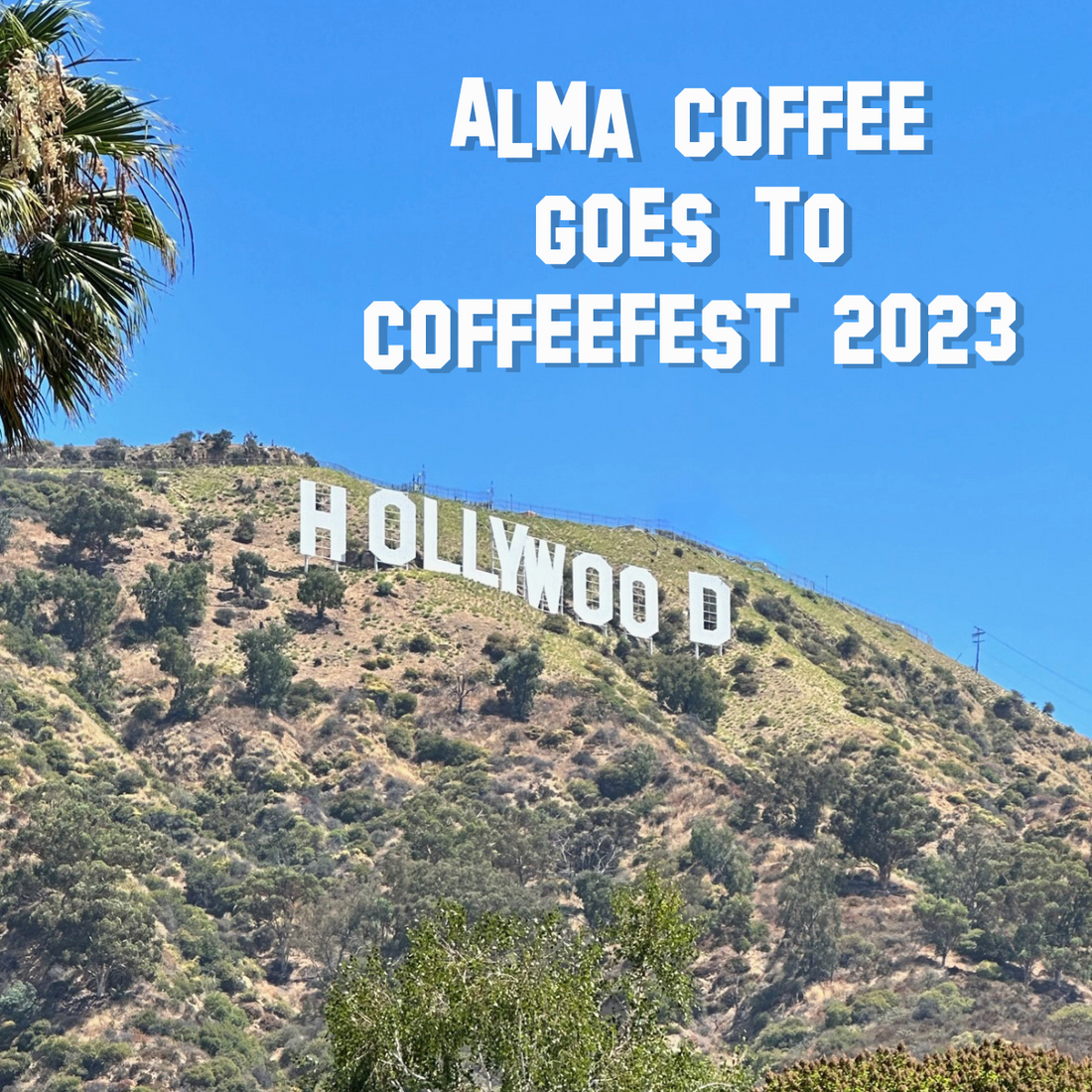 Alma Coffee Goes to CoffeeFest 2023