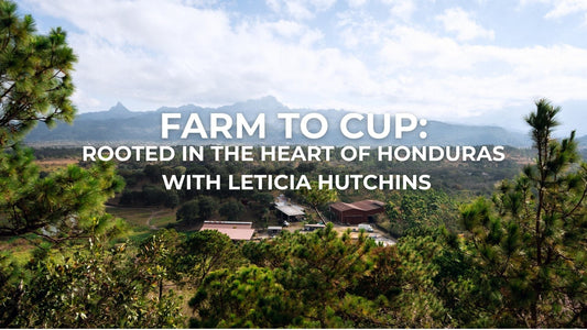Farm to Cup: Rooted in the Heart of Honduras
