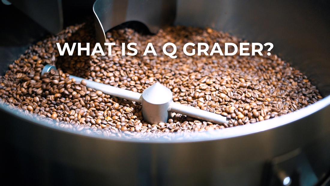 What Is A Q Grader?