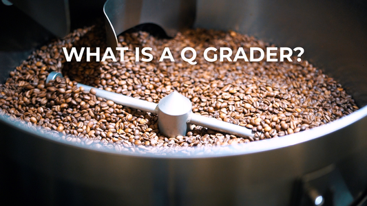 What Is A Q Grader?