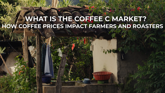 What Is the Coffee C Market? How Coffee Prices Impact Farmers and Roasters