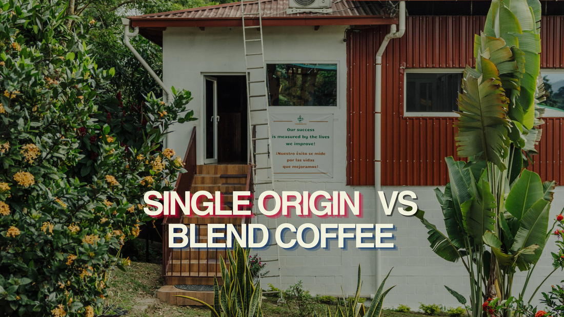 Single Origin vs. Blend: What’s the Difference & Which Coffee Is Right for You?