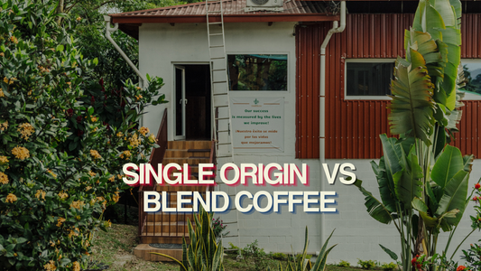 Single Origin vs. Blend: What’s the Difference & Which Coffee Is Right for You?