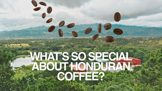 What's So Special About Honduran Coffee?