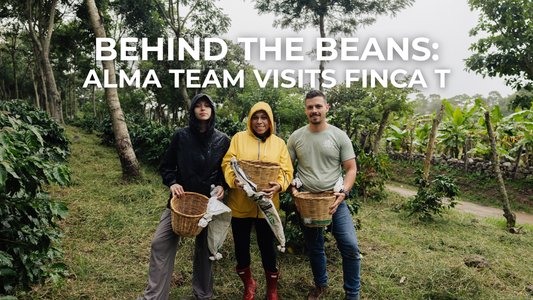 Behind the Beans: Alma Team Visits Finca T