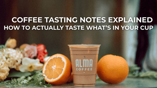Coffee Tasting Notes Explained: How to Actually Taste What’s in Your Cup