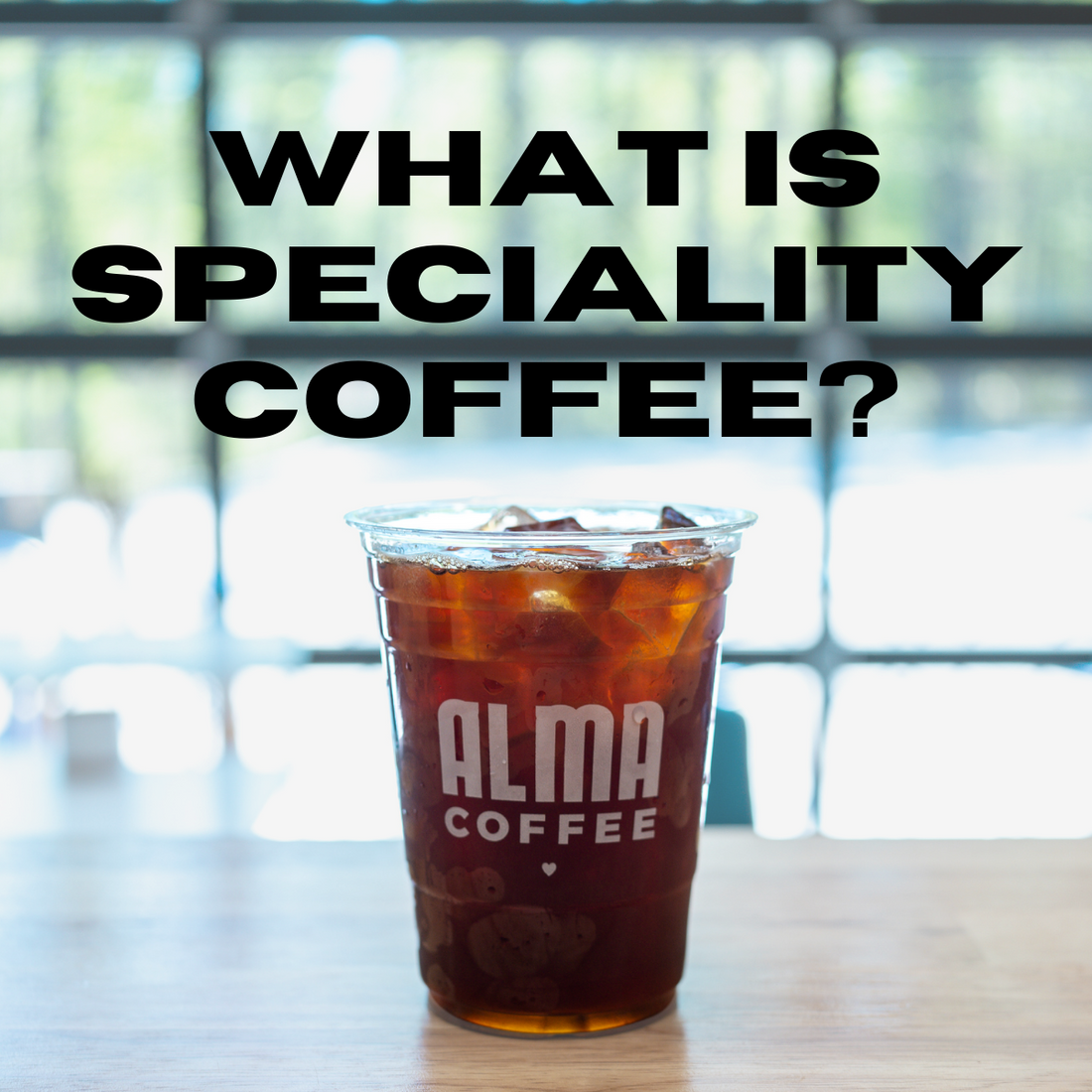 What is Specialty Coffee?