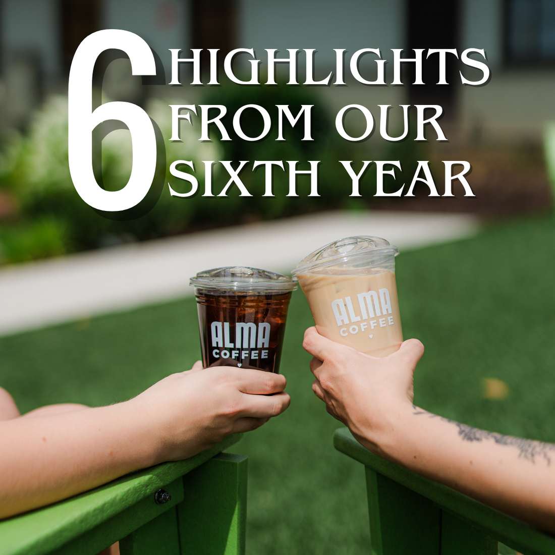 6 Highlights from our Sixth Year