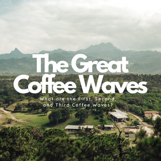 The Great Coffee Waves: What are the First, Second, and Third Coffee Waves? 🌊