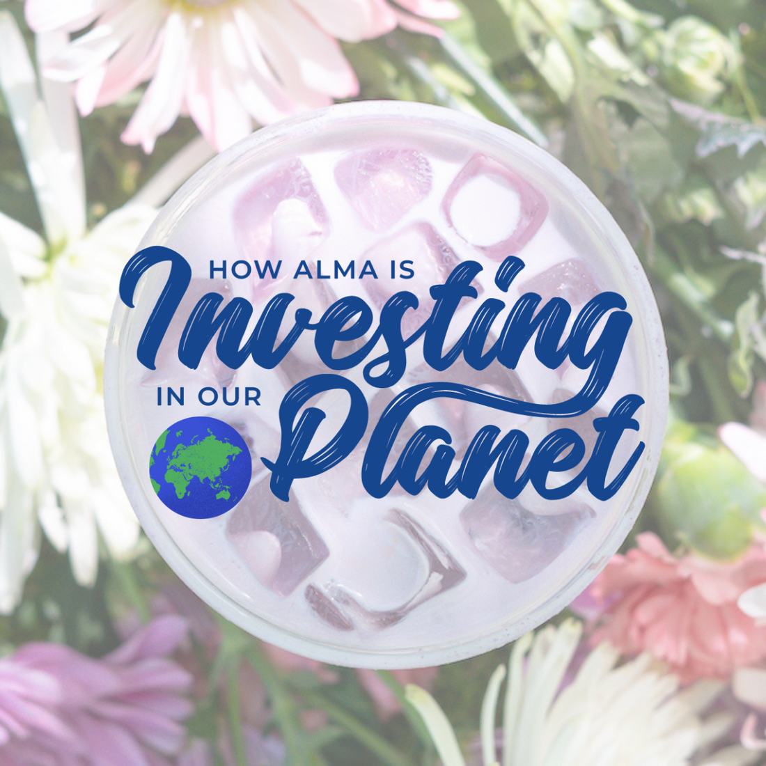 How Alma is investing in our planet