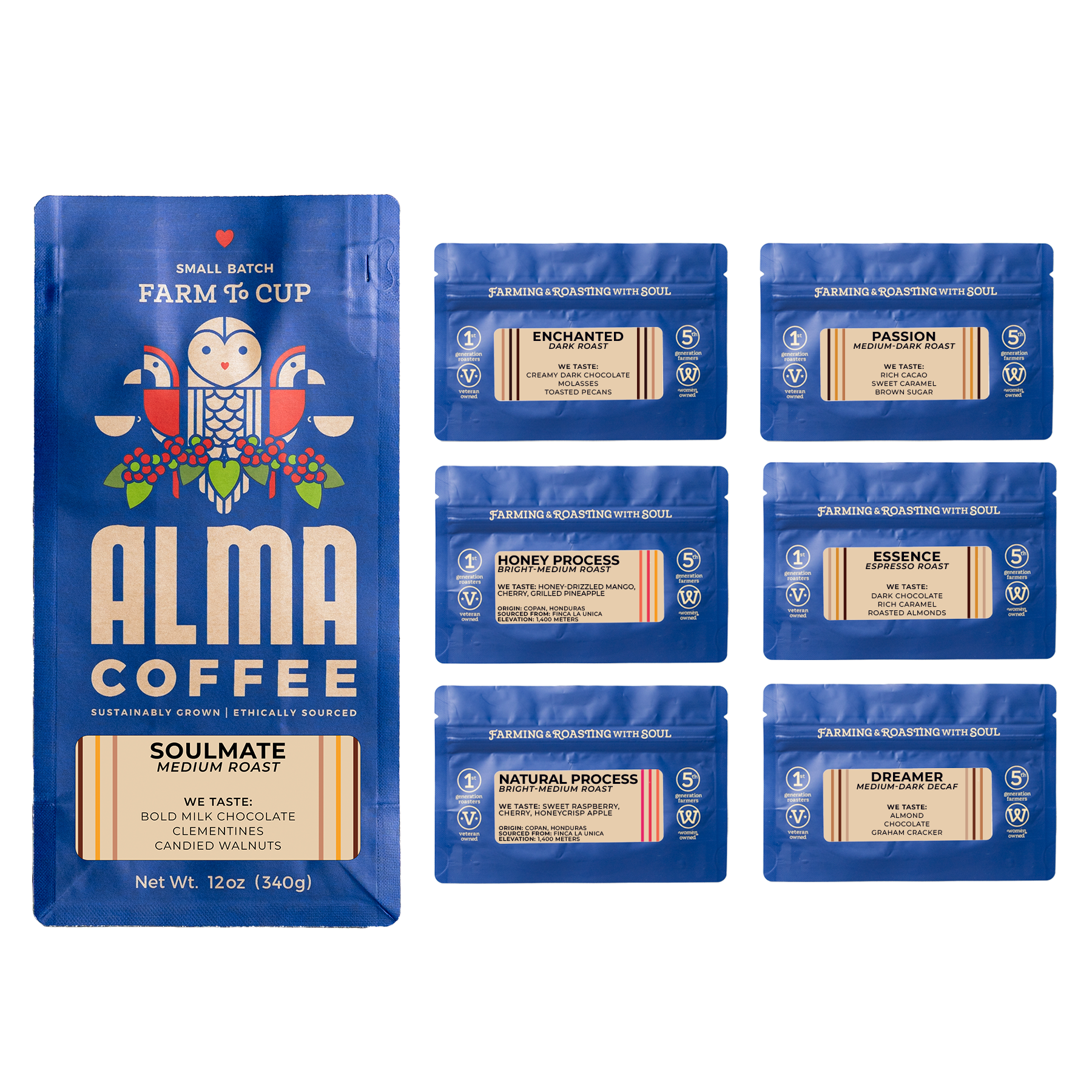 Alma Coffee Starter Kit 