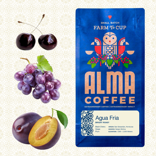 A blue stand-up pouch of Alma Coffee Agua Fria small batch roast is shown beside illustrated fruits representing the flavor profile: two dark cherries, a cluster of purple grapes, and a plum with a cut-open half showing the pit. The background is a light cream patterned surface.